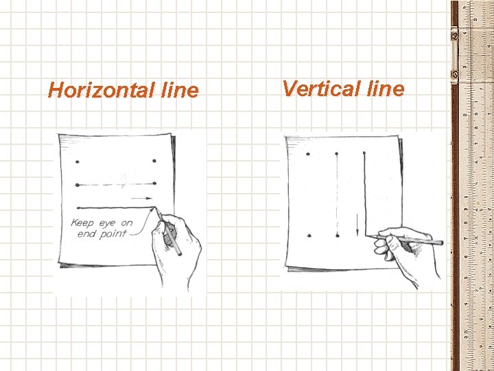 Horizontal line Vertical line 