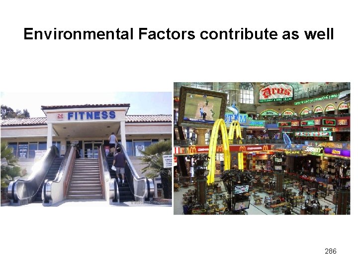 Environmental Factors contribute as well 286 