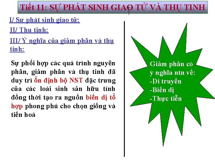 Tiết 11: SỰ PHÁT SINH GIAO TỬ VÀ THỤ TINH I/ Sự phát sinh