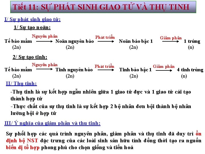 Tiết 11: SỰ PHÁT SINH GIAO TỬ VÀ THỤ TINH I/ Sự phát sinh