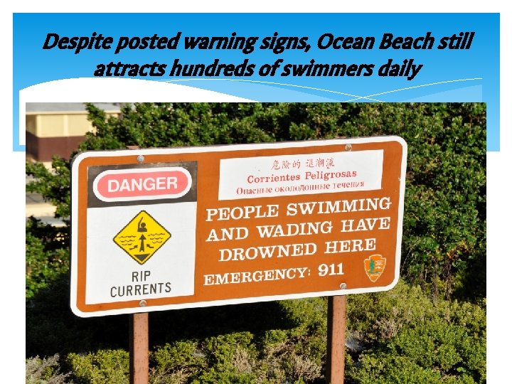 Despite posted warning signs, Ocean Beach still attracts hundreds of swimmers daily 