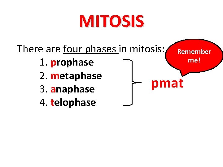 MITOSIS There are four phases in mitosis: Remember me! 1. prophase 2. metaphase pmat