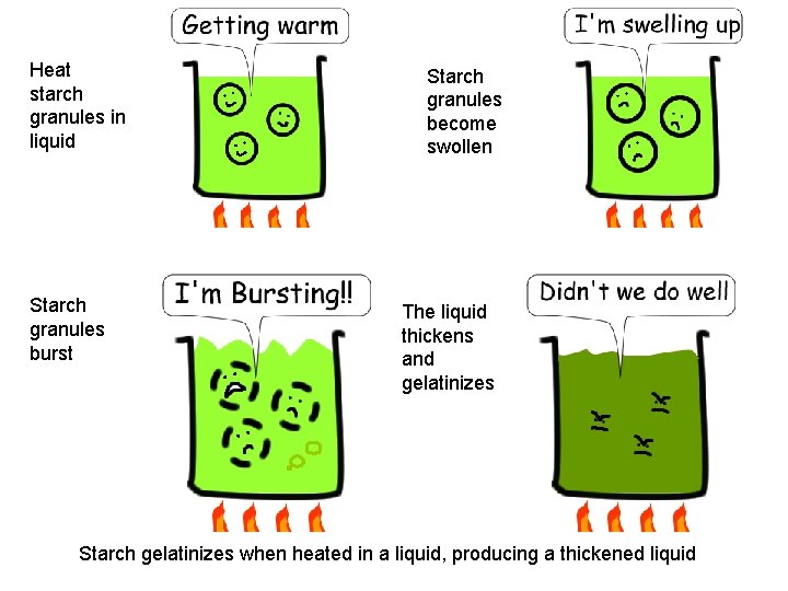 Heat starch granules in liquid Starch granules burst Starch granules become swollen The liquid