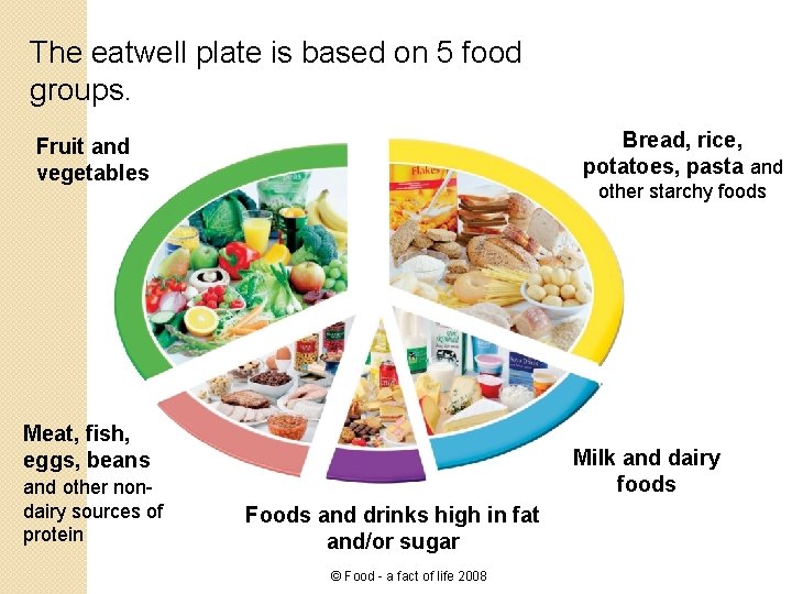 The eatwell plate is based on 5 food groups. Bread, rice, potatoes, pasta and