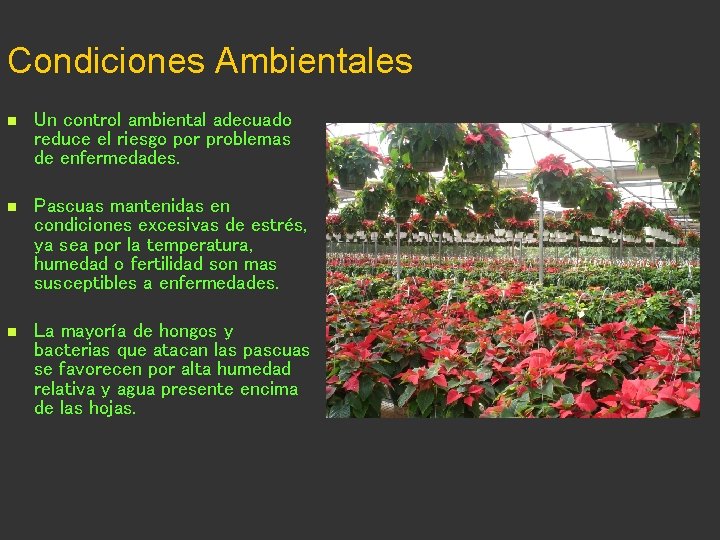 Condiciones Ambientales n Un control ambiental adecuado reduce el riesgo por problemas de enfermedades.