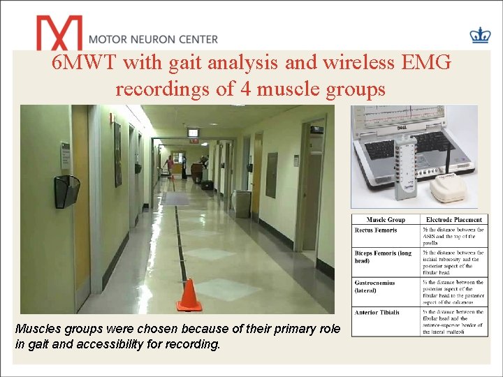6 MWT with gait analysis and wireless EMG recordings of 4 muscle groups Muscles