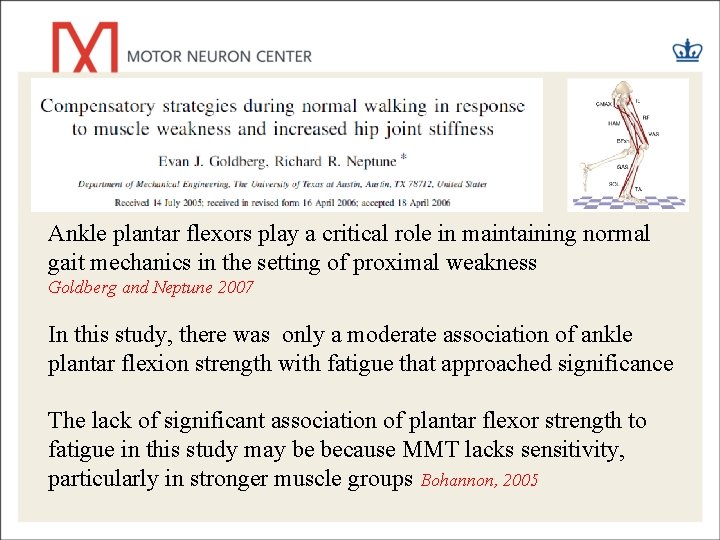 Ankle plantar flexors play a critical role in maintaining normal gait mechanics in the