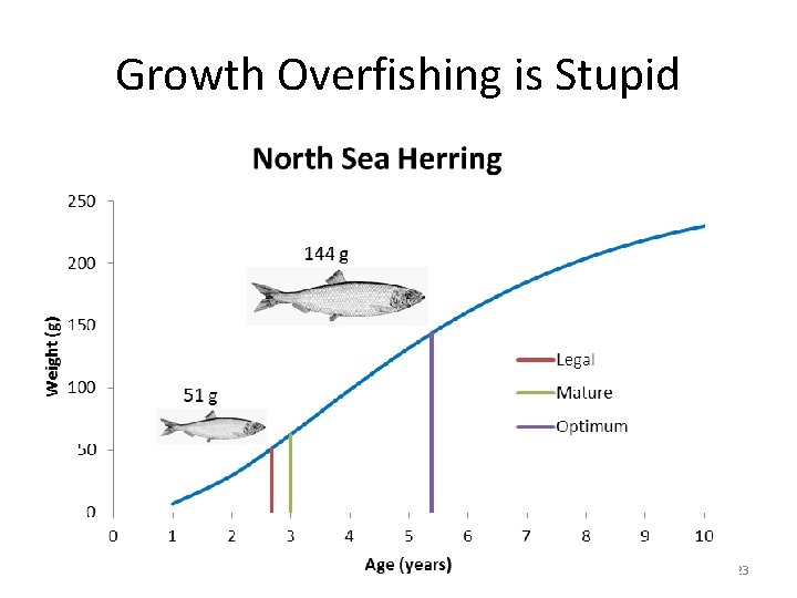 Growth Overfishing is Stupid 23 