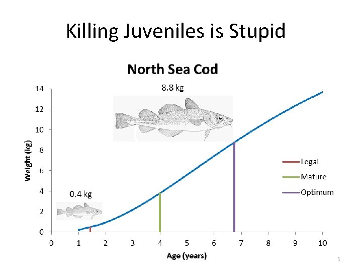 Killing Juveniles is Stupid 24 