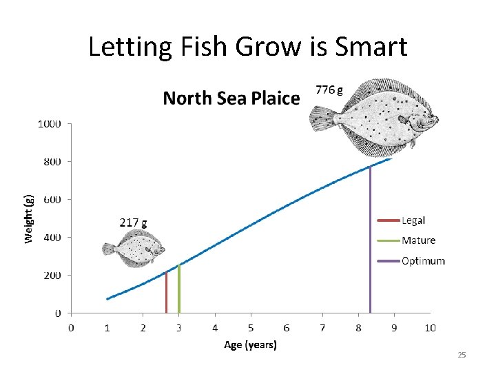 Letting Fish Grow is Smart 25 