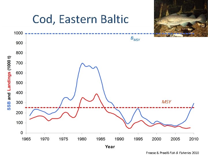 Cod, Eastern Baltic BMSY Froese & Proelß Fish & Fisheries 2010 