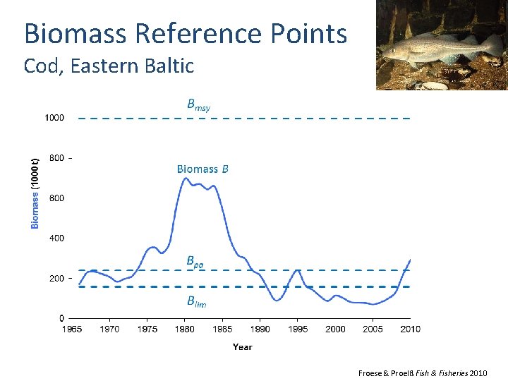 Biomass Reference Points Cod, Eastern Baltic Froese & Proelß Fish & Fisheries 2010 