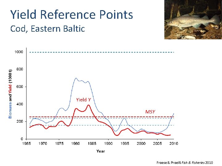 Yield Reference Points Cod, Eastern Baltic Froese & Proelß Fish & Fisheries 2010 