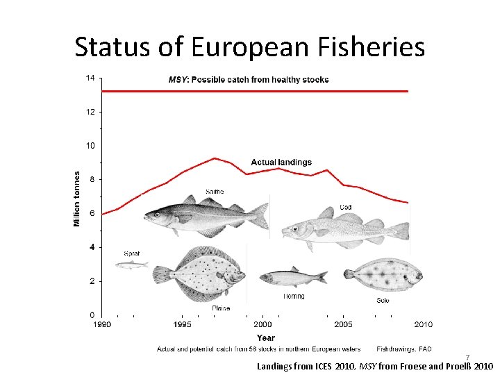 Status of European Fisheries 7 Landings from ICES 2010, MSY from Froese and Proelß