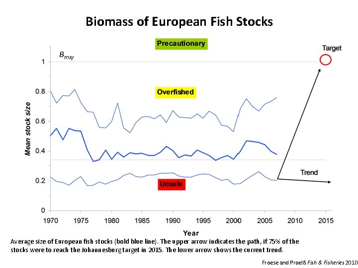 Biomass of European Fish Stocks Bmsy Average size of European fish stocks (bold blue