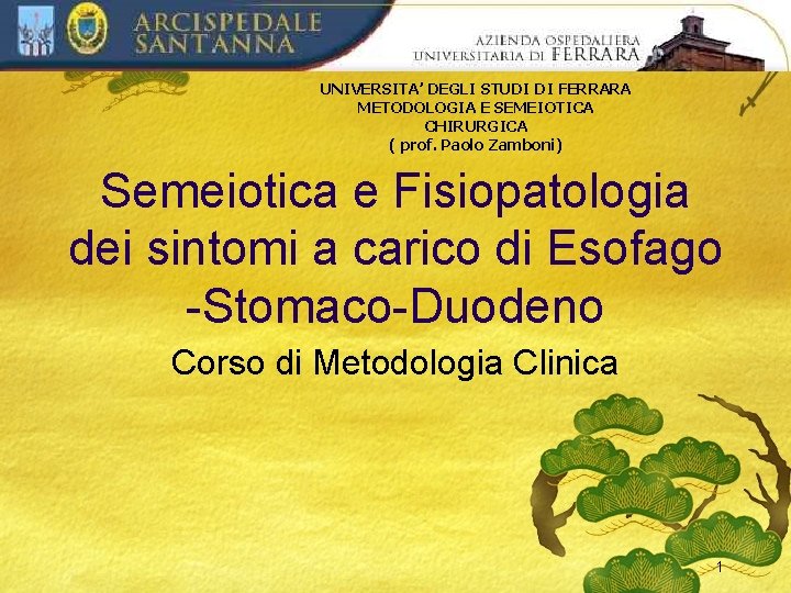 UNIVERSITA’ DEGLI STUDI DI FERRARA METODOLOGIA E SEMEIOTICA CHIRURGICA ( prof. Paolo Zamboni) Semeiotica