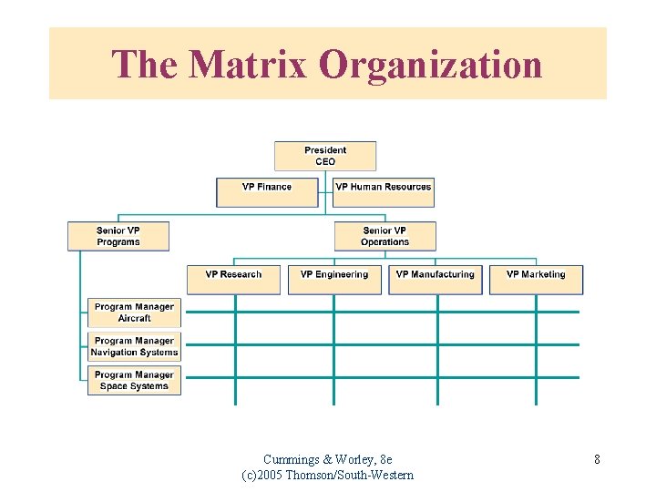 The Matrix Organization Cummings & Worley, 8 e (c)2005 Thomson/South-Western 8 