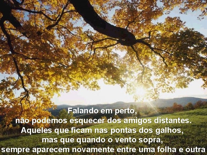 Falando em perto, não podemos esquecer dos amigos distantes. Aqueles que ficam nas pontas