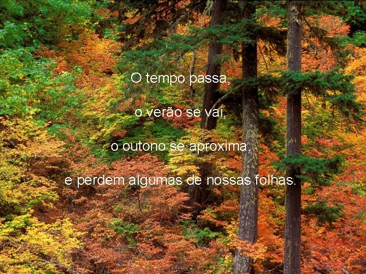 O tempo passa, o verão se vai, o outono se aproxima, e perdem algumas