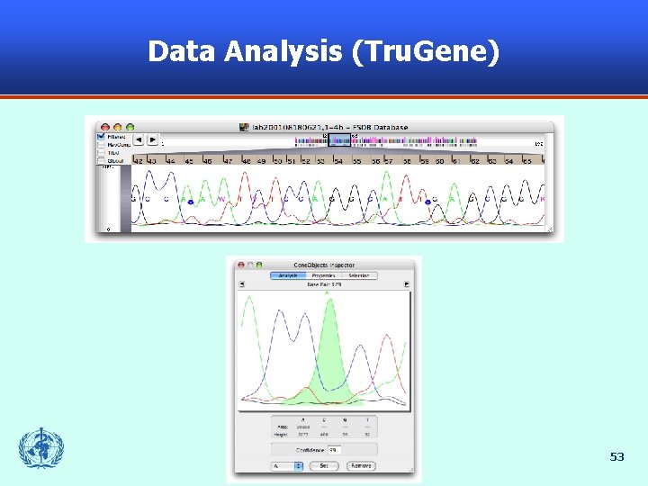 Data Analysis (Tru. Gene) 53 