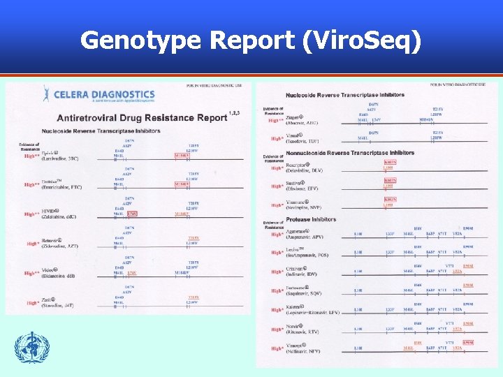 Genotype Report (Viro. Seq) 55 