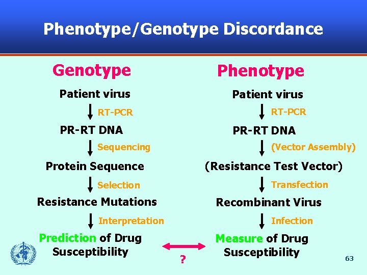 Phenotype/Genotype Discordance Genotype Phenotype Patient virus RT-PCR PR-RT DNA (Vector Assembly) Sequencing Protein Sequence