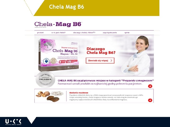 Chela Mag B 6 