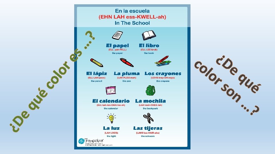 …? es or ol éc qu ¿D e ¿ co De lo q r