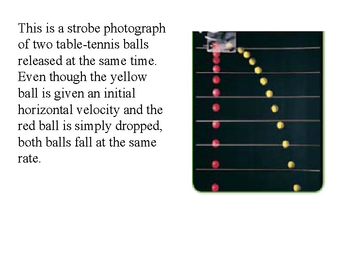 This is a strobe photograph of two table-tennis balls released at the same time.