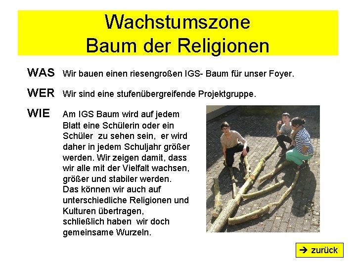 Wachstumszone Baum der Religionen WAS Wir bauen einen riesengroßen IGS- Baum für unser Foyer.