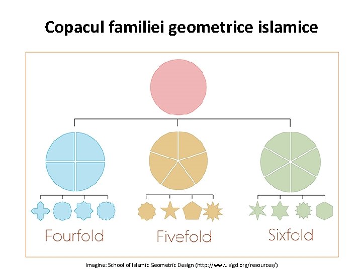 Copacul familiei geometrice islamice Imagine: School of Islamic Geometric Design (http: //www. sigd. org/resources/) Copacul familiei geometrice islamice Imagine: School of Islamic Geometric Design (http: //www. sigd. org/resources/)