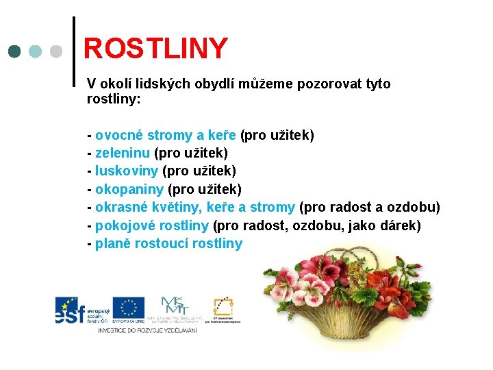 ROSTLINY V okolí lidských obydlí můžeme pozorovat tyto rostliny: - ovocné stromy a keře