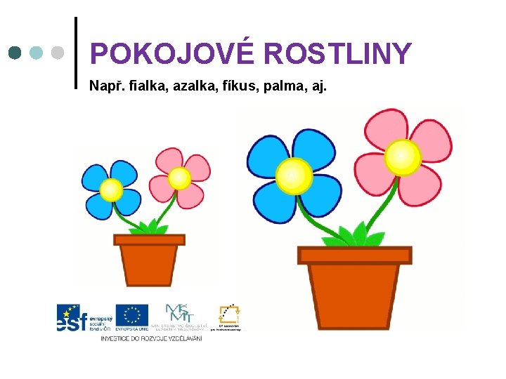 POKOJOVÉ ROSTLINY Např. fialka, azalka, fíkus, palma, aj. 