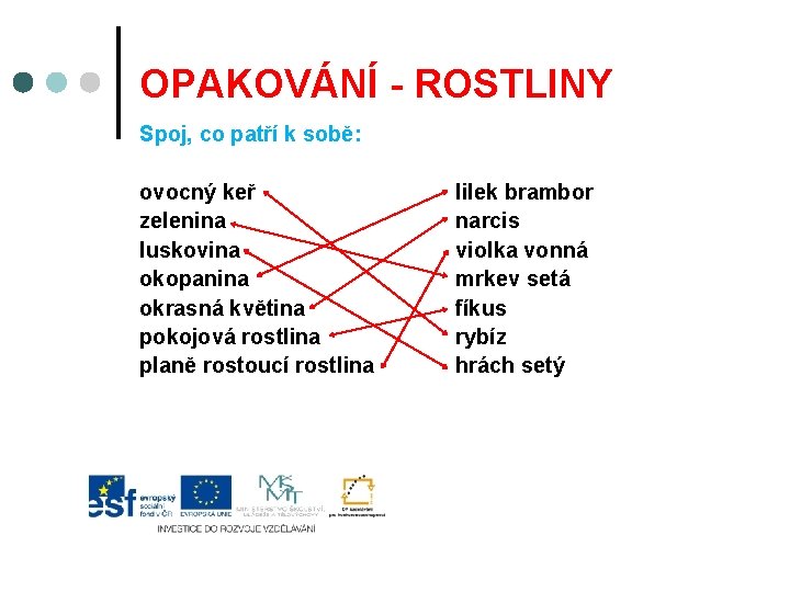 OPAKOVÁNÍ - ROSTLINY Spoj, co patří k sobě: ovocný keř zelenina luskovina okopanina okrasná