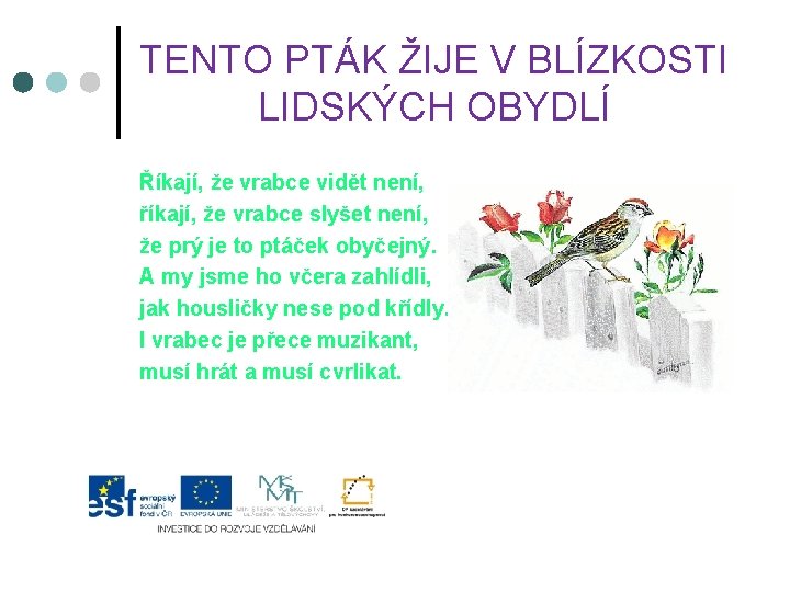 TENTO PTÁK ŽIJE V BLÍZKOSTI LIDSKÝCH OBYDLÍ Říkají, že vrabce vidět není, říkají, že