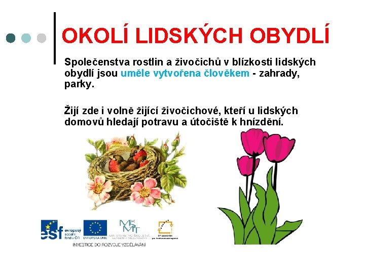 OKOLÍ LIDSKÝCH OBYDLÍ Společenstva rostlin a živočichů v blízkosti lidských obydlí jsou uměle vytvořena