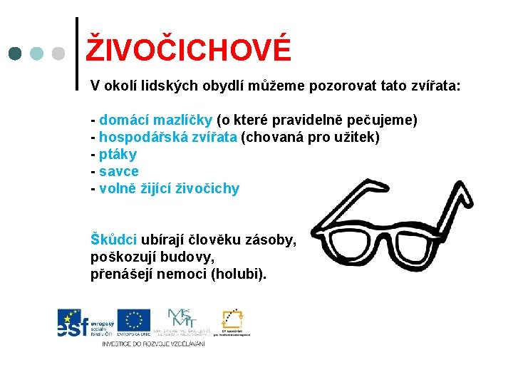 ŽIVOČICHOVÉ V okolí lidských obydlí můžeme pozorovat tato zvířata: - domácí mazlíčky (o které