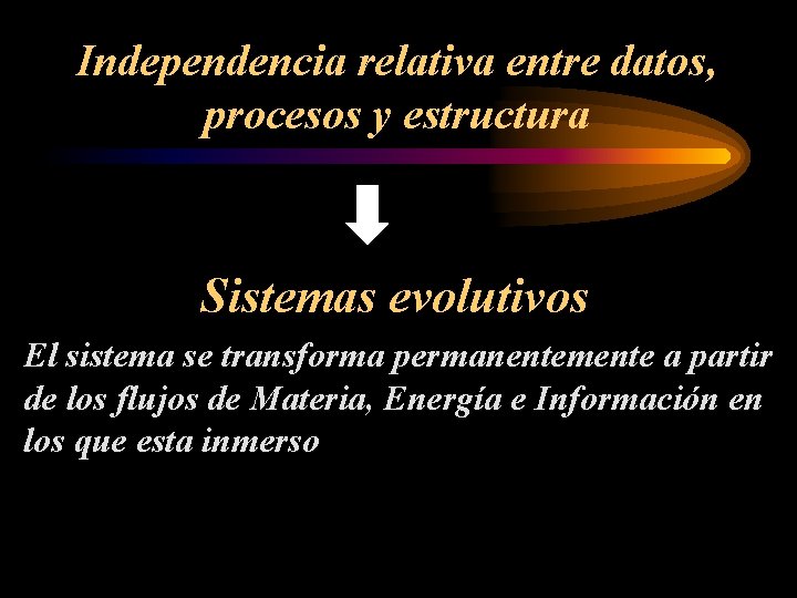 Independencia relativa entre datos, procesos y estructura Sistemas evolutivos El sistema se transforma permanentemente