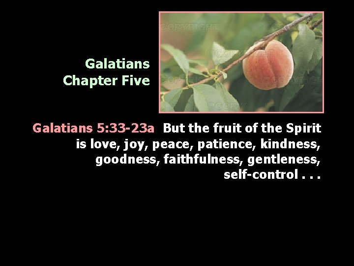 Galatians Chapter Five Galatians 5: 33 -23 a But the fruit of the Spirit