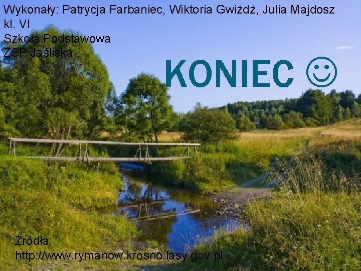 Wykonały: Patrycja Farbaniec, Wiktoria Gwiżdż, Julia Majdosz kl. VI Szkoła Podstawowa ZSP Jaśliska KONIEC