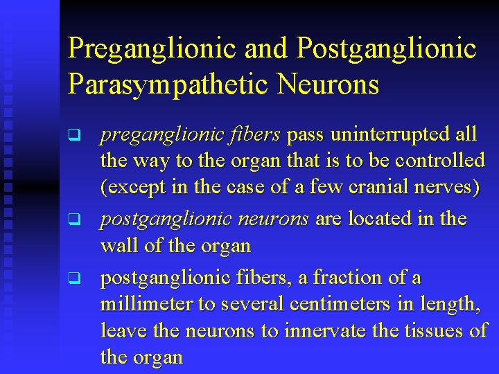 Preganglionic and Postganglionic Parasympathetic Neurons q q q preganglionic fibers pass uninterrupted all the