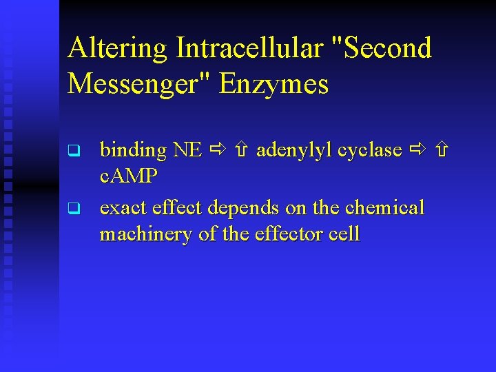 Altering Intracellular "Second Messenger" Enzymes q q binding NE adenylyl cyclase c. AMP exact