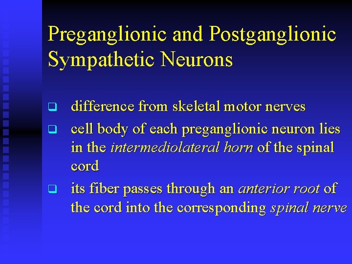 Preganglionic and Postganglionic Sympathetic Neurons q q q difference from skeletal motor nerves cell