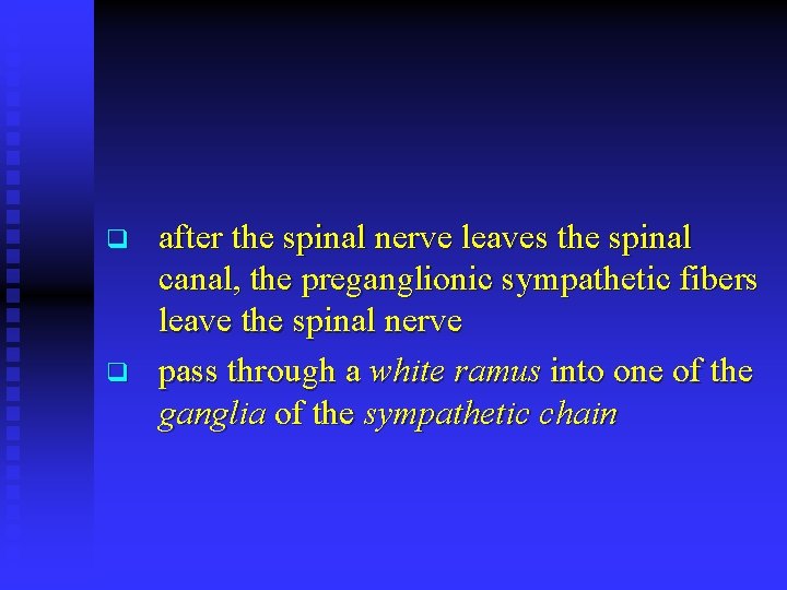 q q after the spinal nerve leaves the spinal canal, the preganglionic sympathetic fibers