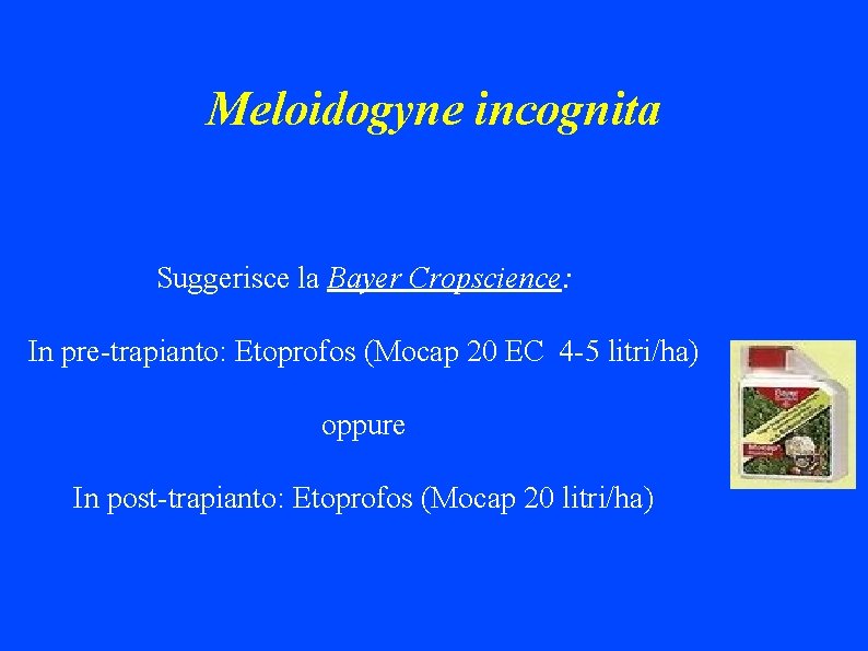 Meloidogyne incognita Suggerisce la Bayer Cropscience: In pre-trapianto: Etoprofos (Mocap 20 EC 4 -5