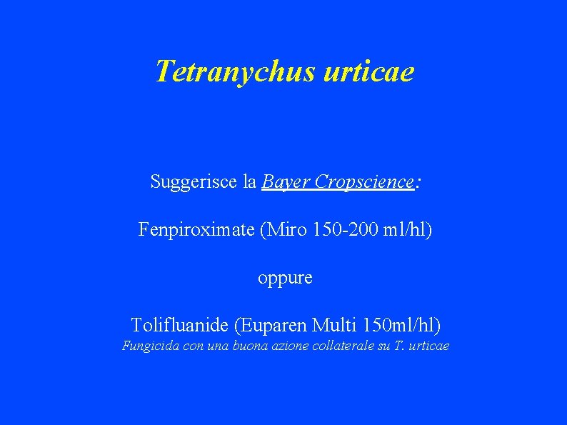 Tetranychus urticae Suggerisce la Bayer Cropscience: Fenpiroximate (Miro 150 -200 ml/hl) oppure Tolifluanide (Euparen