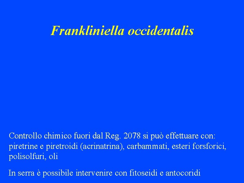 Frankliniella occidentalis Controllo chimico fuori dal Reg. 2078 si può effettuare con: piretrine e