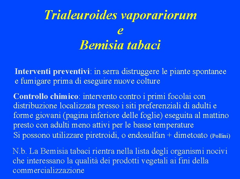 Trialeuroides vaporariorum e Bemisia tabaci Interventi preventivi: in serra distruggere le piante spontanee e