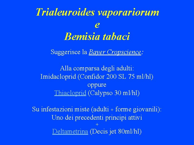 Trialeuroides vaporariorum e Bemisia tabaci Suggerisce la Bayer Cropscience: Alla comparsa degli adulti: Imidacloprid