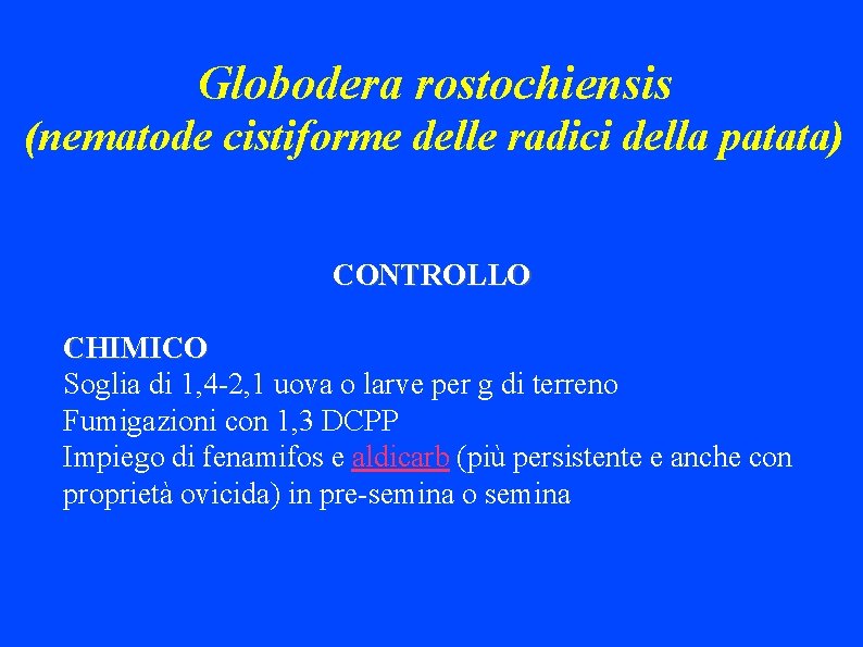 Globodera rostochiensis (nematode cistiforme delle radici della patata) CONTROLLO CHIMICO Soglia di 1, 4